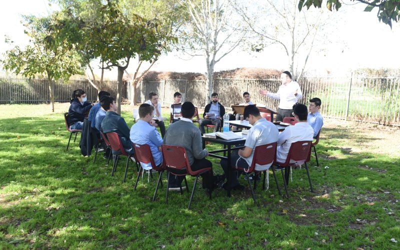 שיעור דשא בקורונה